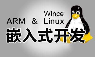 ǶʽLinux,ǶʽW